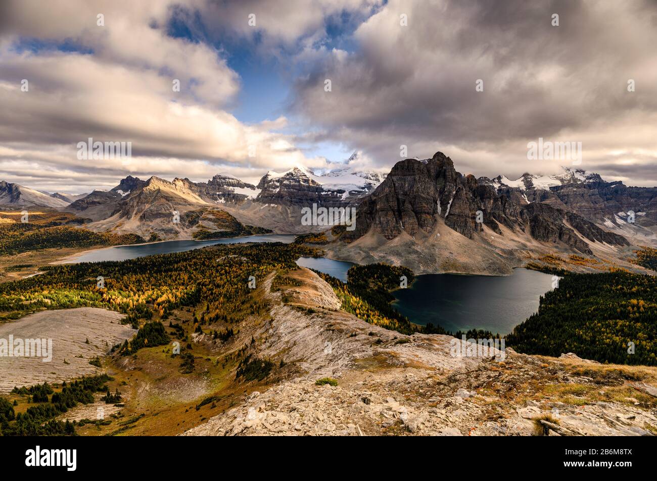 Mount Assiniboine mit See auf dem Nublet-Gipfel im Herbstwald bei Sonnenuntergang im Provinzpark, Alberta, Kanada Stockfoto