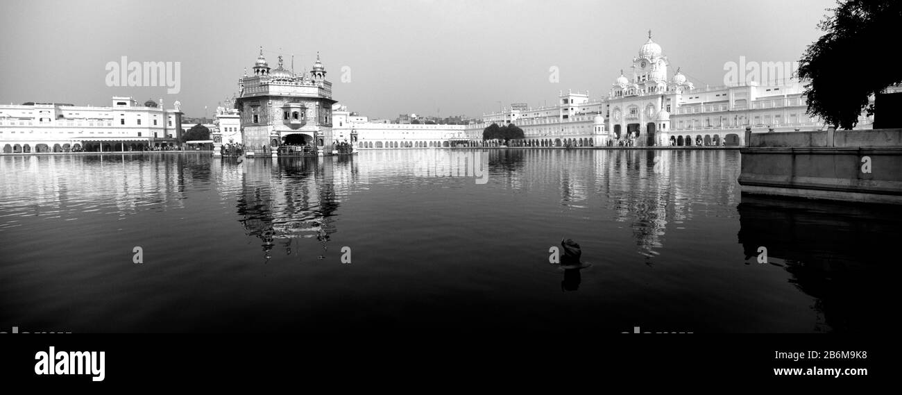 Tempel am Wasser, Goldener Tempel, Amritsar, Punjab, Indien Stockfoto