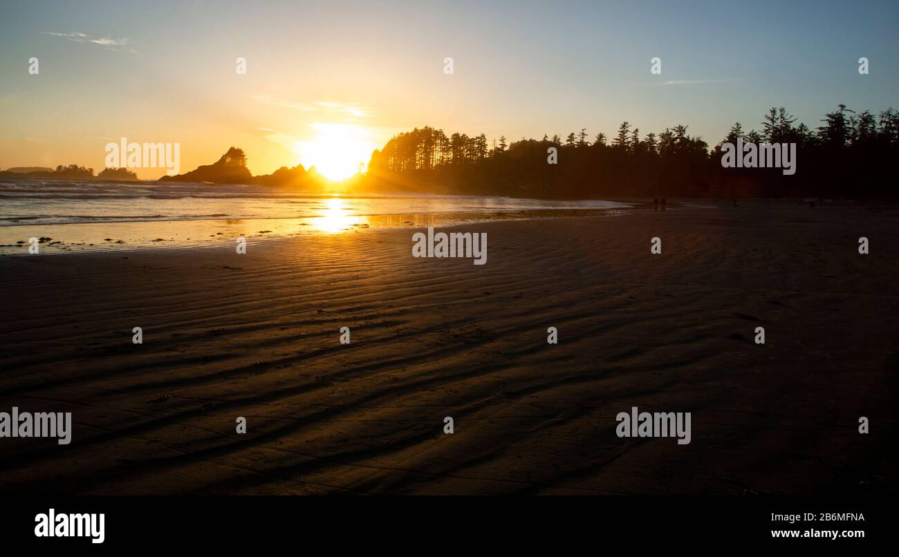 Goldener Sonnenuntergang am Langen Strand, Tofino Stockfoto