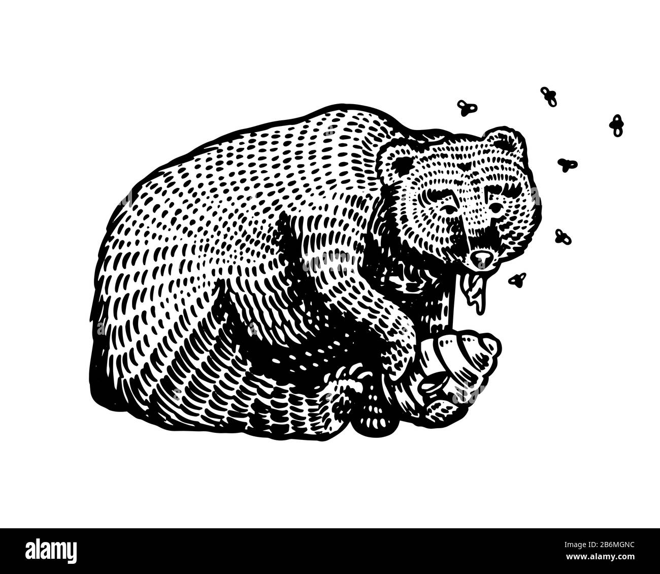 Grizzly Brown Bear isst Honig. Bei einem wilden Tier in der Pfote ein Bienenstock mit Bienen. Seitenansicht. Handgezeichnete, gravierte alte Skizze für T-Shirt, Tattoo oder Etikett Stock Vektor