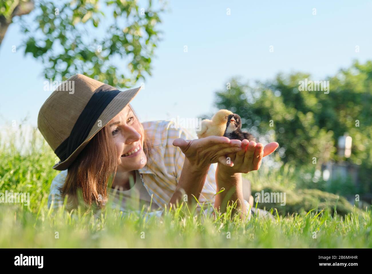 Frau Bauer hält zwei kleine neugeborene Babyhühner in den Händen Stockfoto