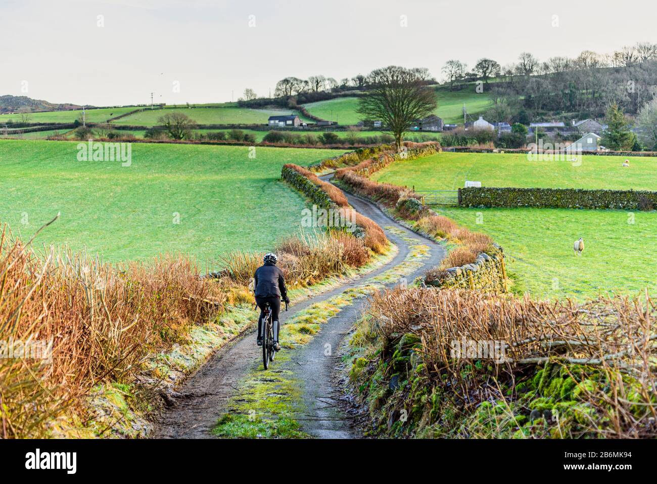 Radfahrer auf der schmalen Spur in der Nähe von Field Broughton im Vale of Cartmel im südlichen Lake District Stockfoto