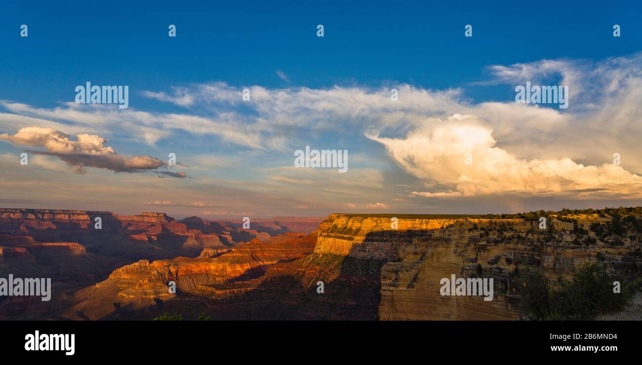 Blick auf Canyon, Südrand, Grand Canyon, Arizona, USA Stockfoto