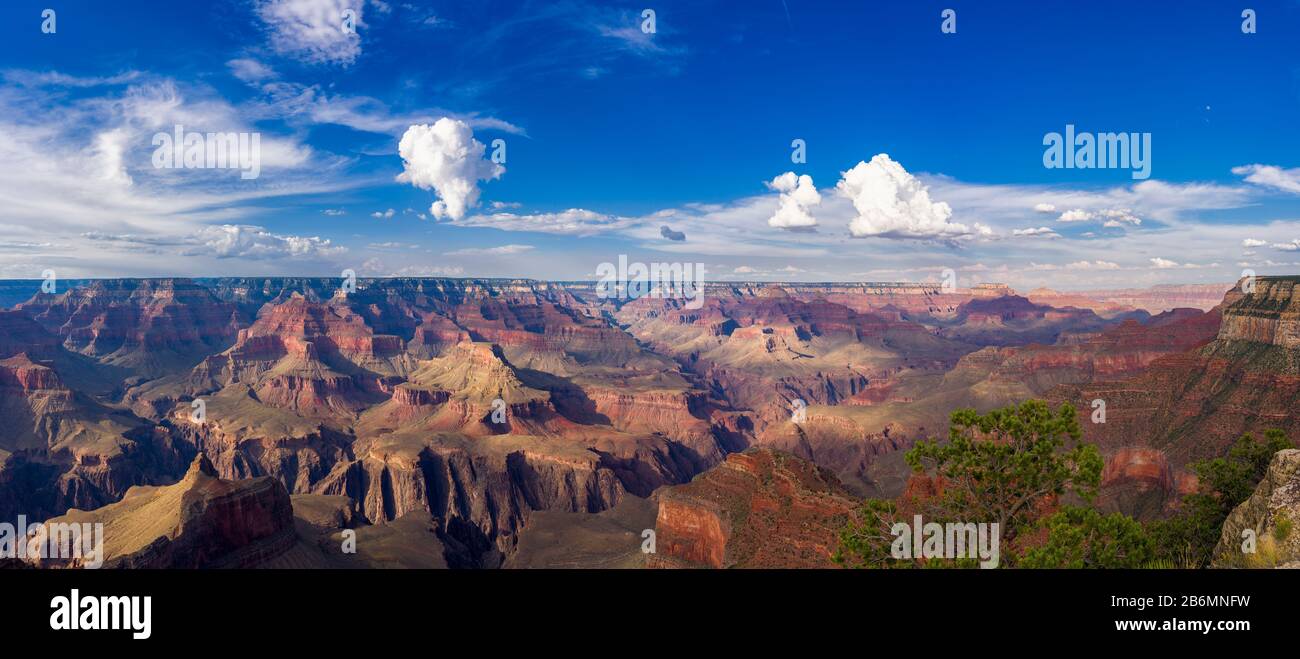 Blick auf Canyon, Südrand, Grand Canyon, Arizona, USA Stockfoto