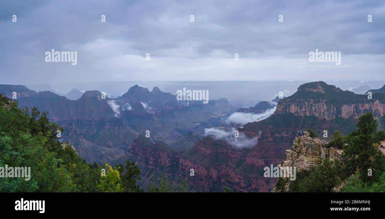 Blick auf den Canyon im regnerischen Tag, North Rim Lodge, Grand Canyon, Arizona, USA Stockfoto