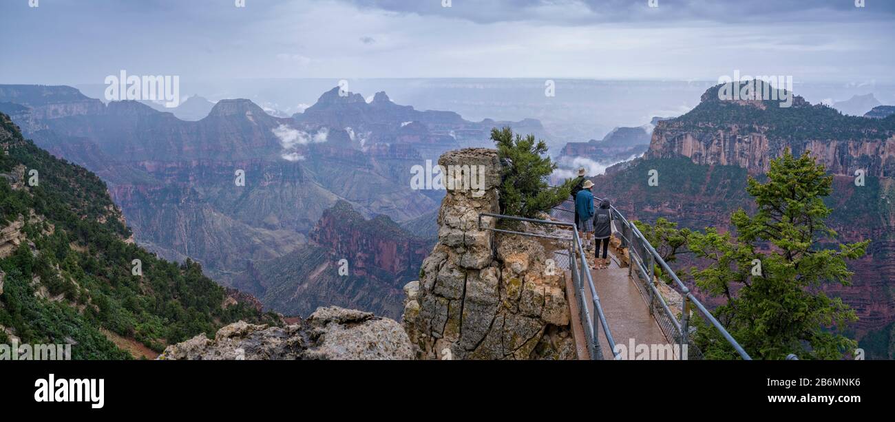 Blick auf den Canyon im regnerischen Tag, North Rim Lodge, Grand Canyon, Arizona, USA Stockfoto