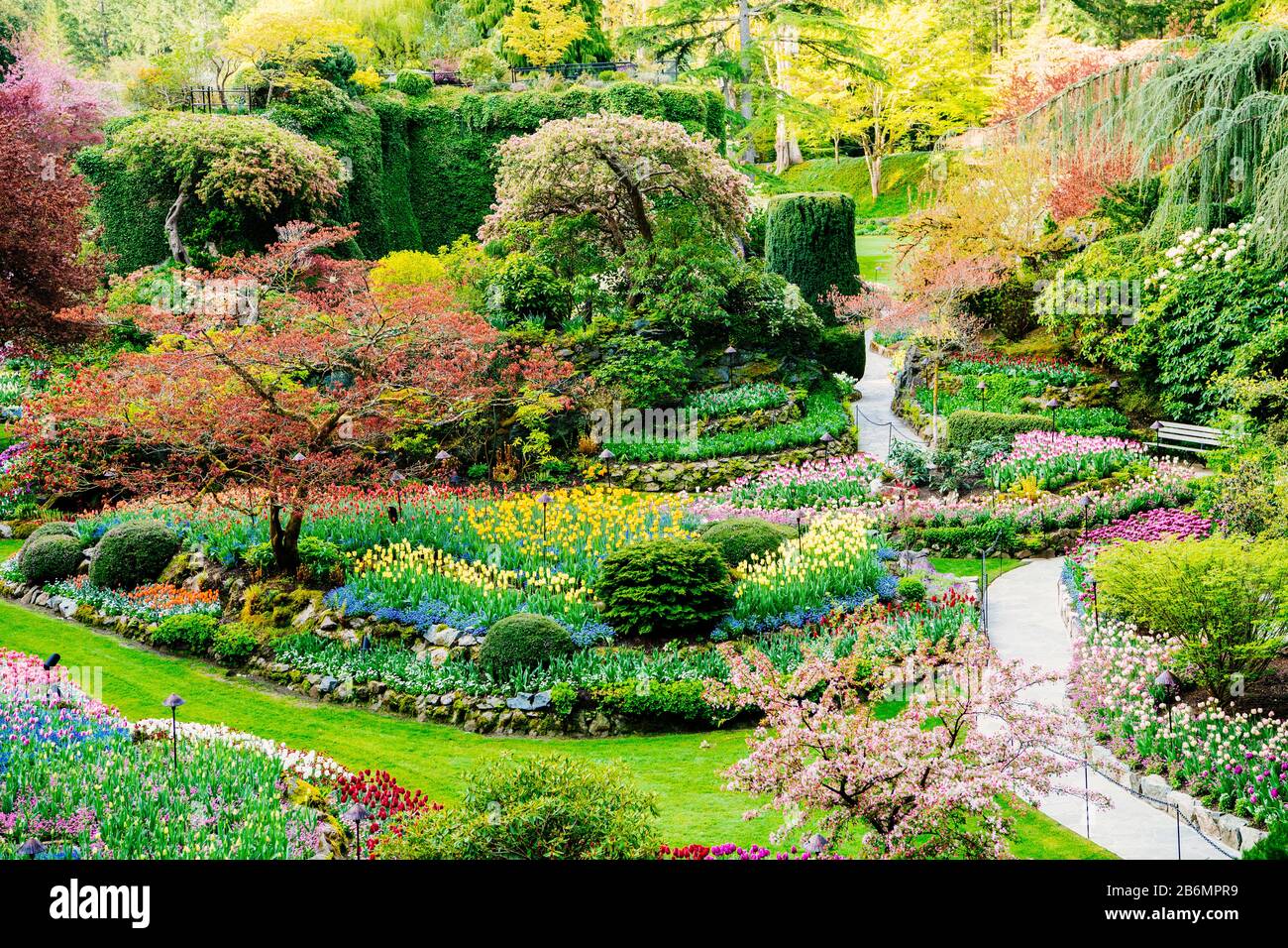 Blick auf die Pfade im Garten, Butchart Gardens, Vancouver Island, British Columbia, Kanada Stockfoto