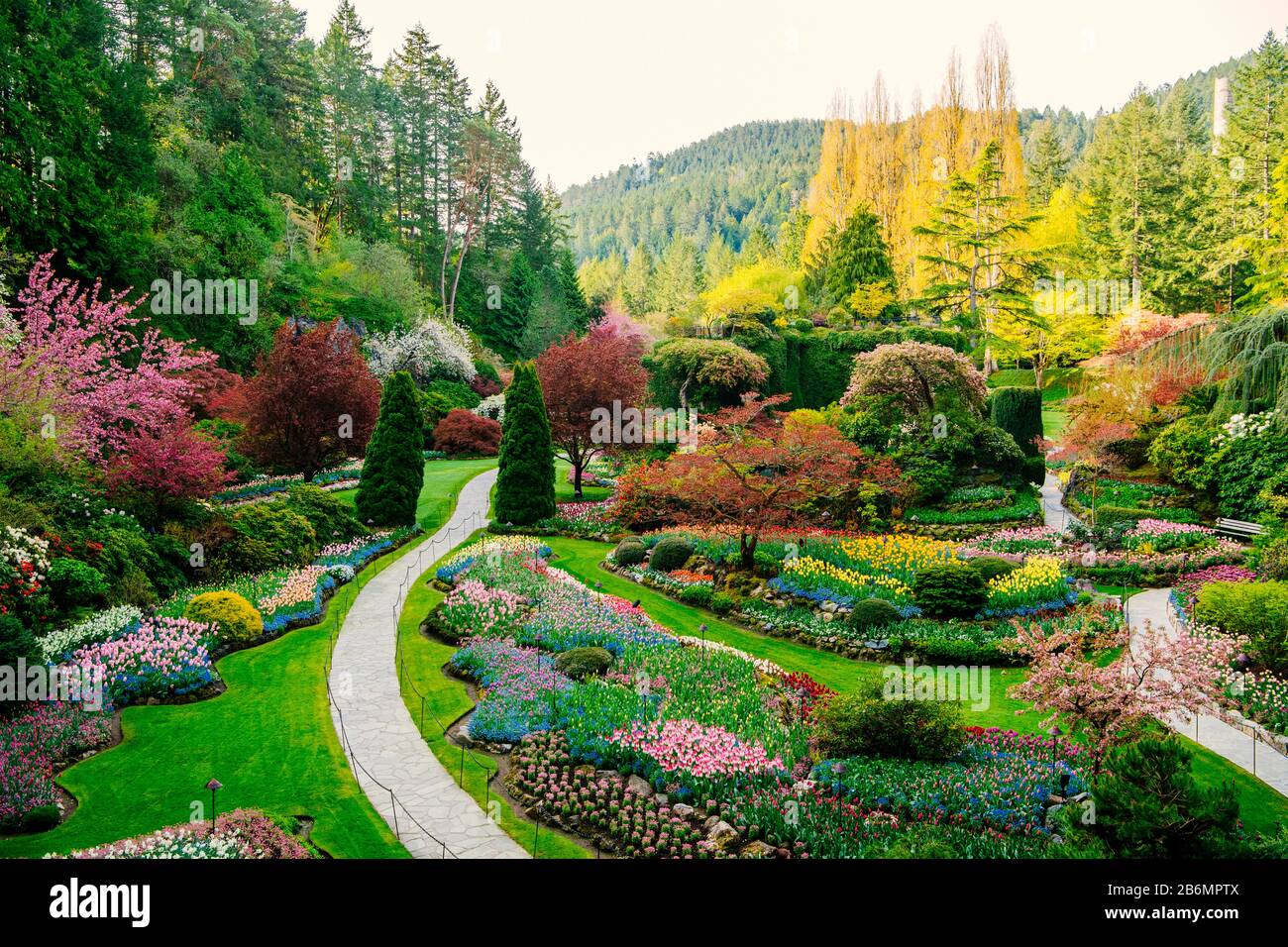 Blick auf die Pfade im Garten, Butchart Gardens, Vancouver Island, British Columbia, Kanada Stockfoto