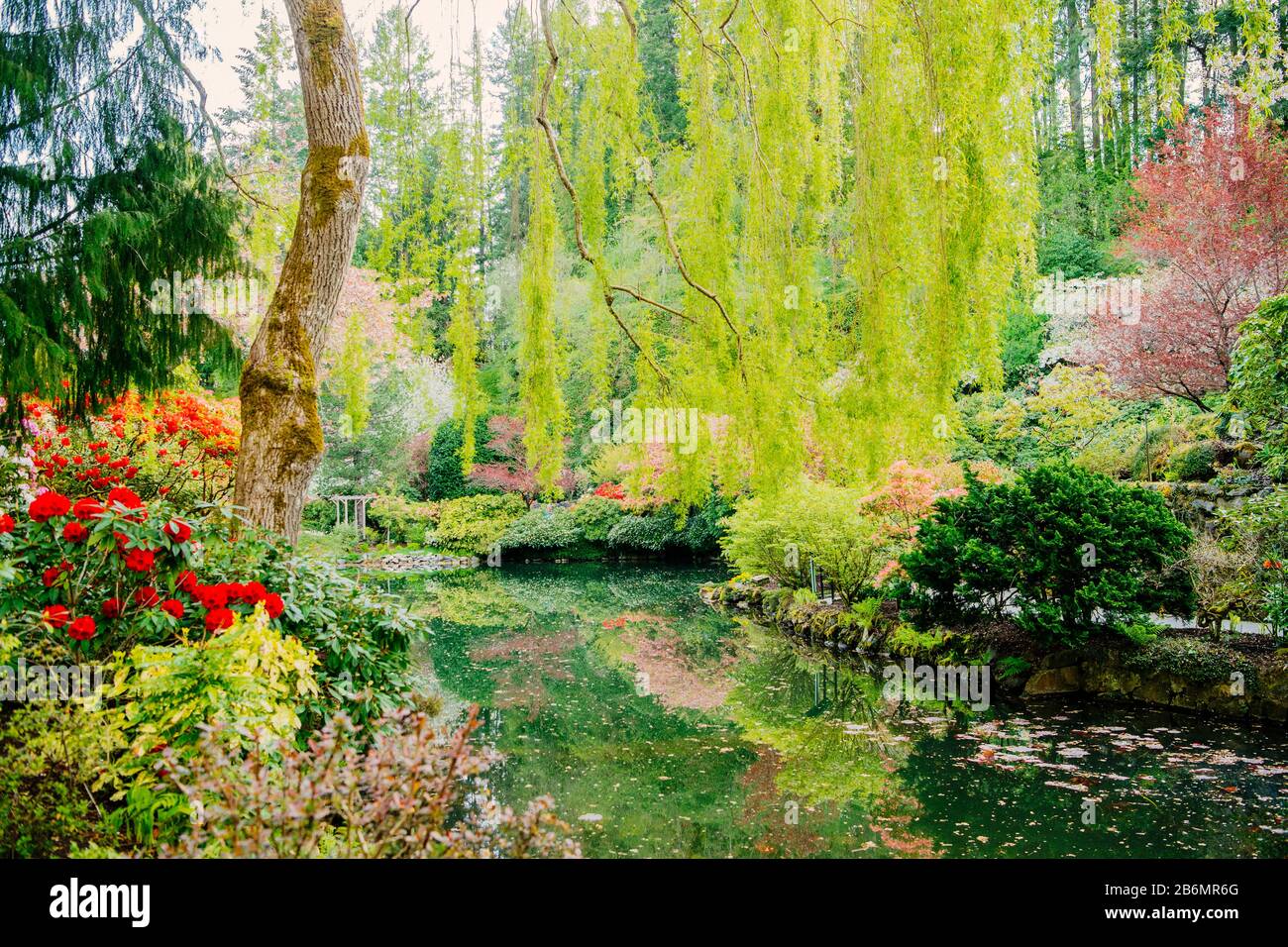 Blick auf blühende Bäume und Blumen im Garten, Butchart Gardens, Vancouver Island, British Columbia, Kanada Stockfoto