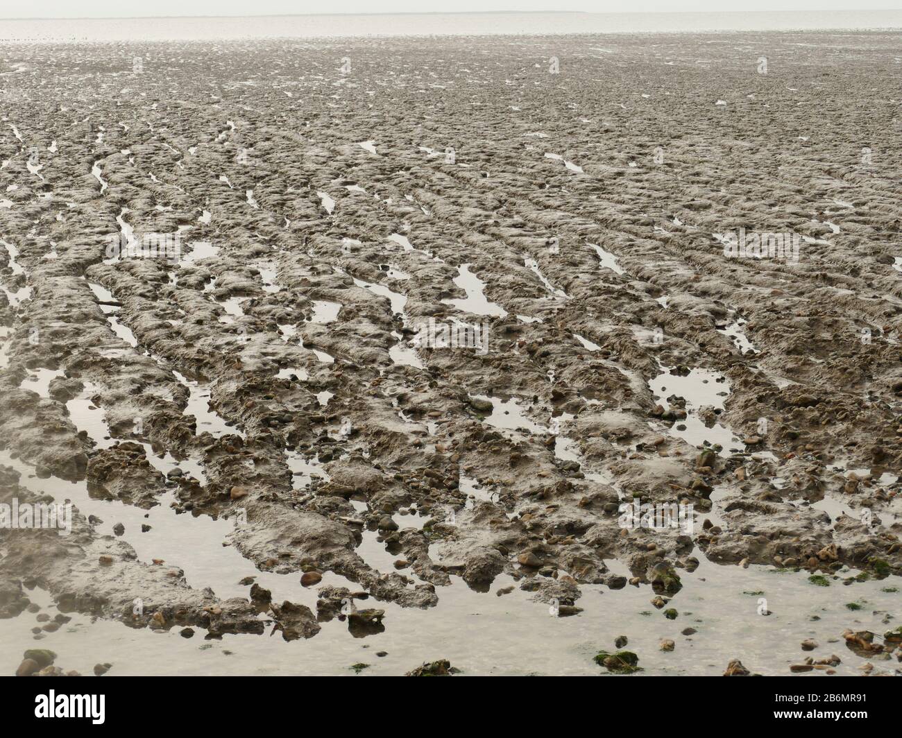 Der Strand St. Froult, der an das Nationalreservat von Moëze grenzt, das mit Vase und zerdrückten Schalen hergestellt wurde, erlaubt kein Schwimmen, wird aber von den Kurzwitschern geschätzt Stockfoto