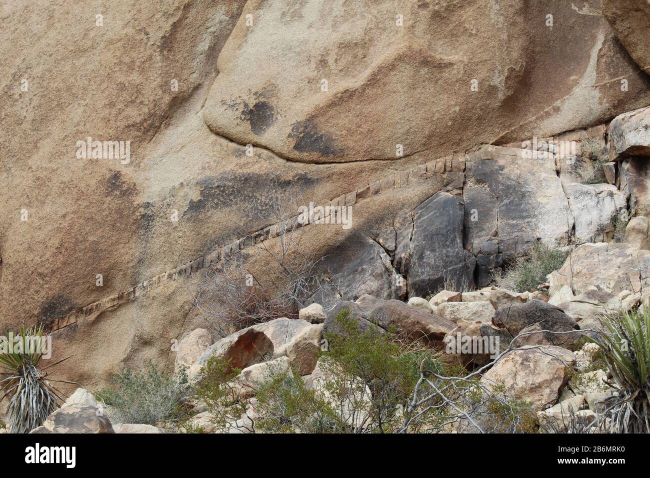 Einige Felsen im Joshua Tree National Park der südlichen Mojave-Wüste zeigen Streifen mit unterschiedlichem aussehenden Material, das als geologische Deiche bekannt ist. Stockfoto