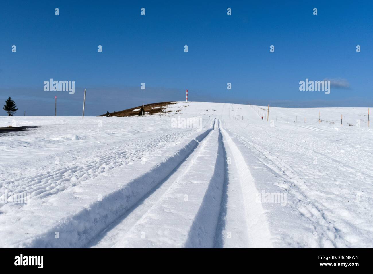 Loipe Feldberg, Deutschland. Stockfoto