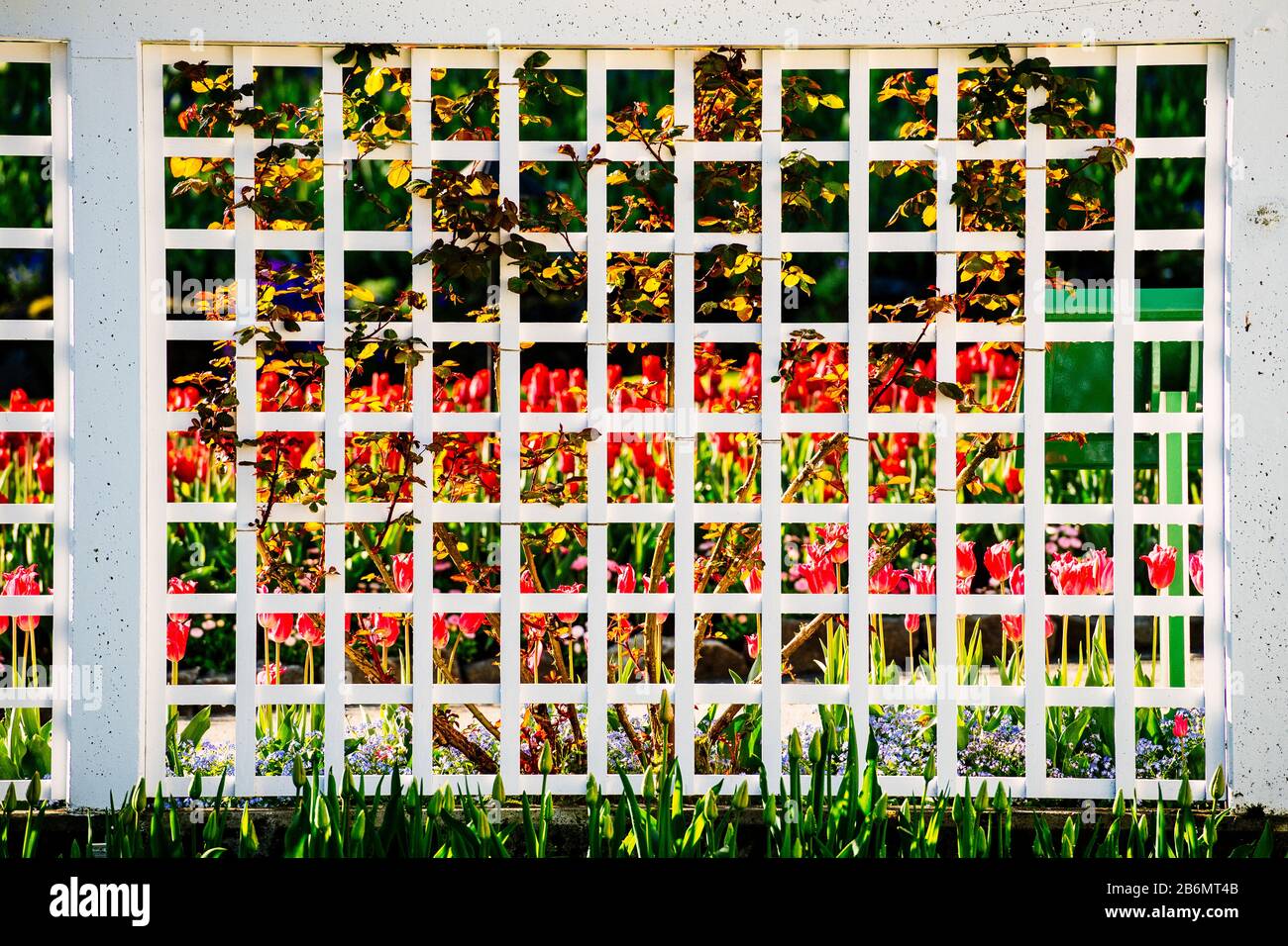 Butchart Gardens, Vancouver Island, British Columbia, Kanada Stockfoto