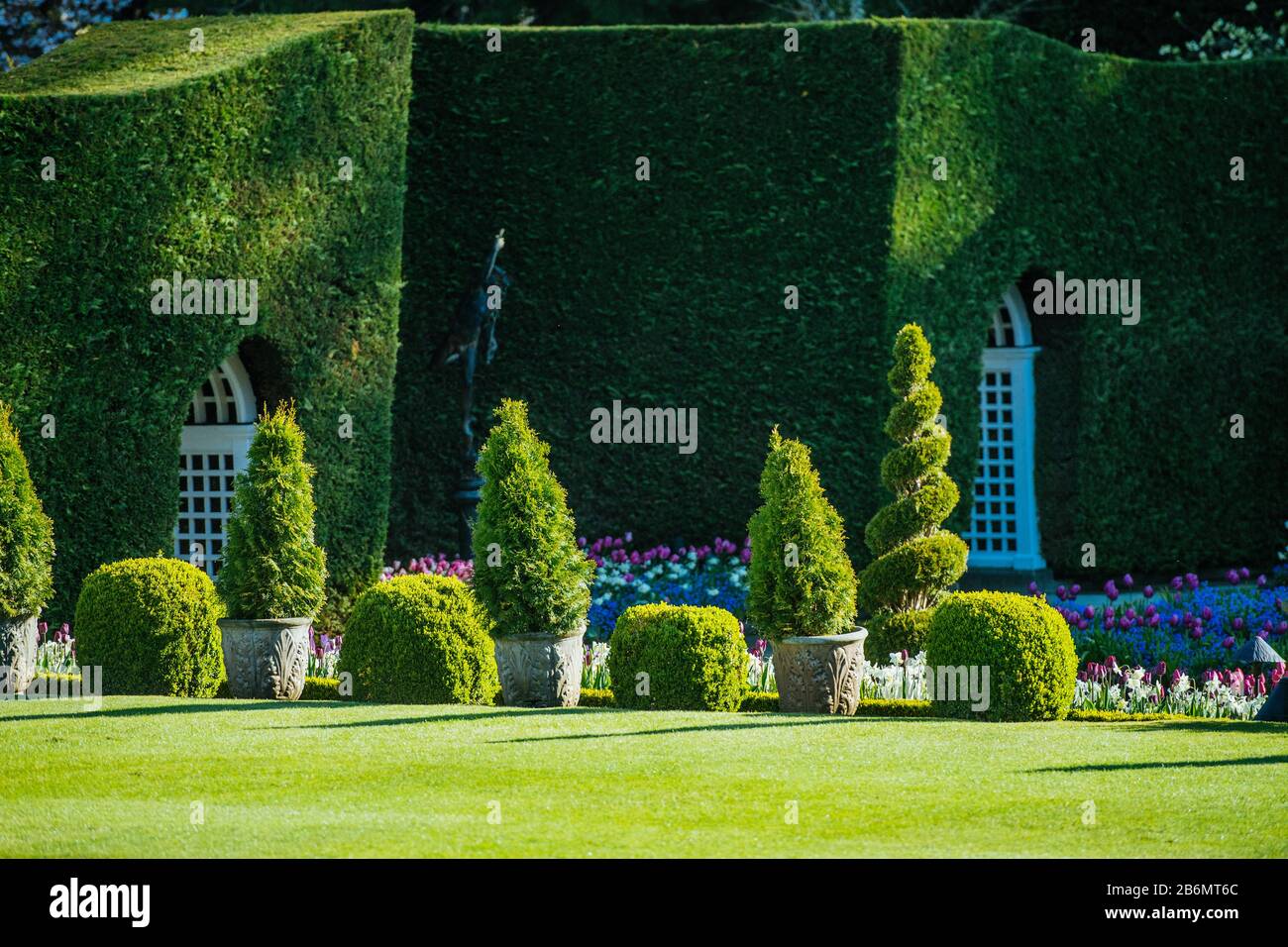 Grüne Büsche und Hecke auf grünem Rasen, Butchart Gardens, Vancouver Island, British Columbia, Kanada Stockfoto