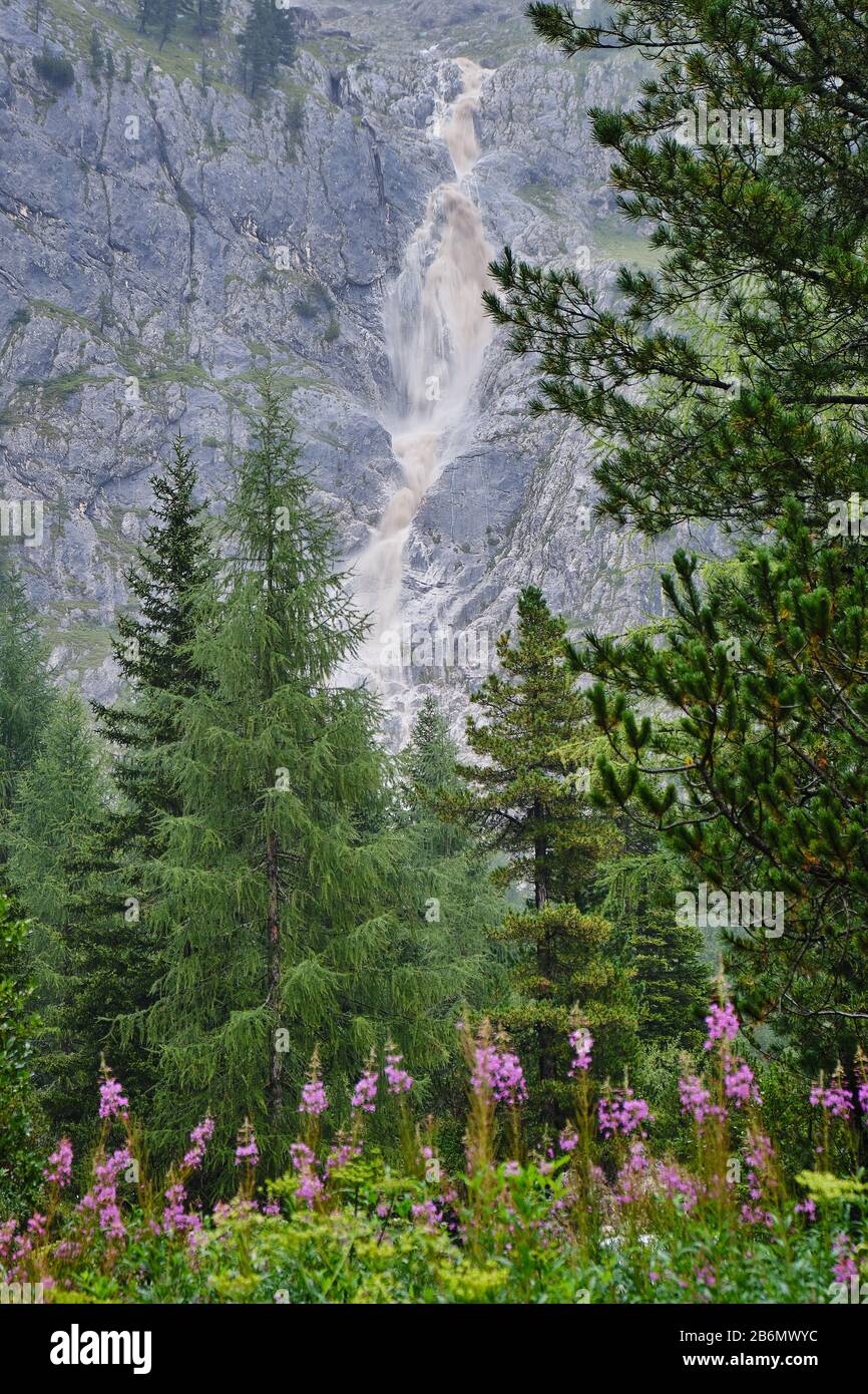 Schlammiger Wasserfall bei einem schweren Sturm in den Bergen der Dolmen, Italien, mit rosa Wildblumen im Vordergrund. Stockfoto