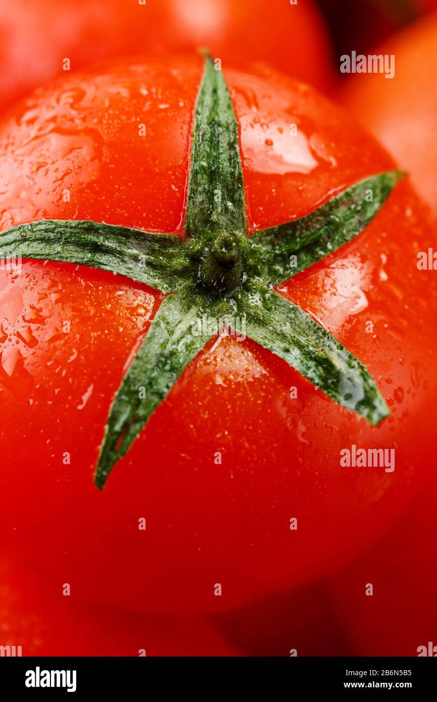 Frische Kirschtomaten mit Nahaufnahme. Rote Tomaten im Hintergrund. Eine Gruppe saftiger reifer Früchte. Rote Tomaten Hintergrund. Tomatenmakro mit Tapete Stockfoto