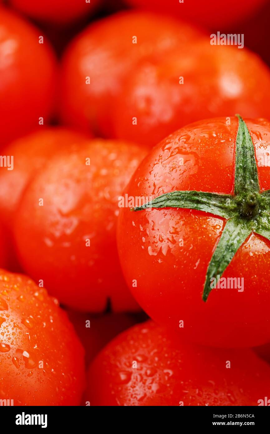 Frische Kirschtomaten mit Nahaufnahme. Rote Tomaten im Hintergrund. Eine Gruppe saftiger reifer Früchte. Rote Tomaten Hintergrund. Tomatenmakro mit Tapete Stockfoto