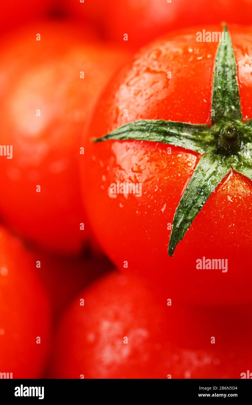 Frische Kirschtomaten mit Nahaufnahme. Rote Tomaten im Hintergrund. Eine Gruppe saftiger reifer Früchte. Rote Tomaten Hintergrund. Tomatenmakro mit Tapete Stockfoto