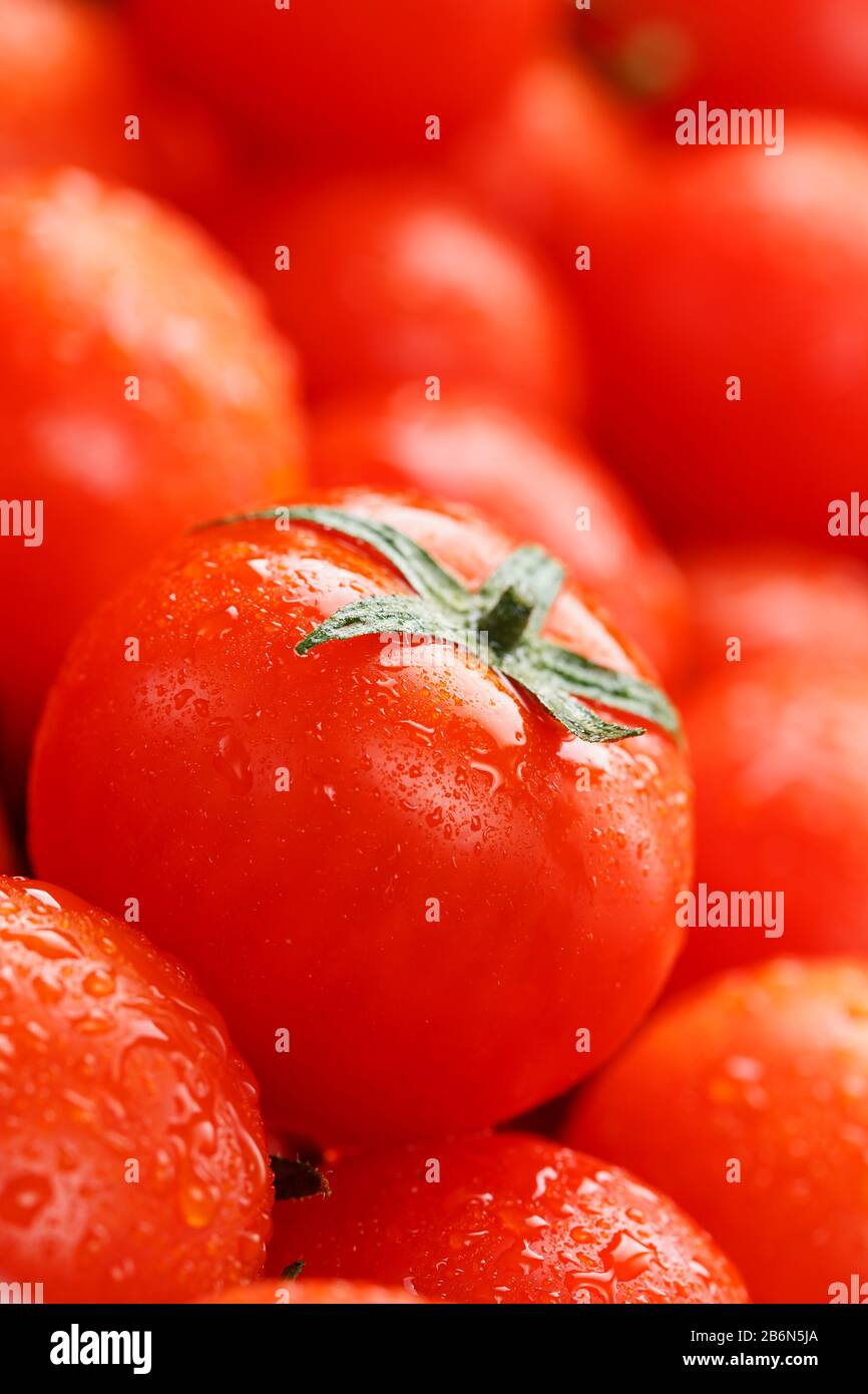Frische Kirschtomaten mit Nahaufnahme. Rote Tomaten im Hintergrund. Eine Gruppe saftiger reifer Früchte. Rote Tomaten Hintergrund. Tomatenmakro mit Tapete Stockfoto