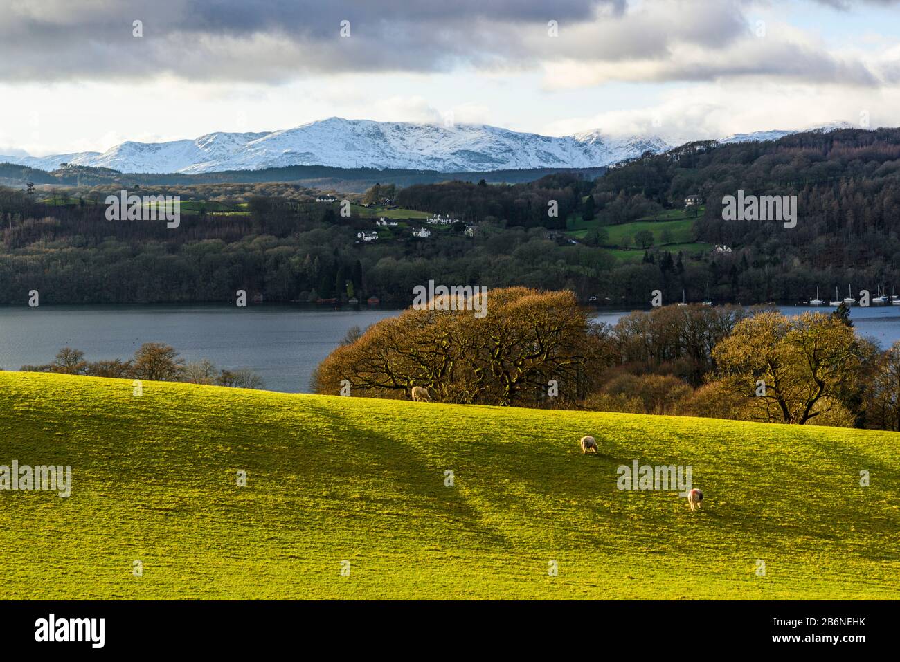 Blick von Blackwell über Windermere auf Snowy Coniston Fells im englischen Lake District Stockfoto