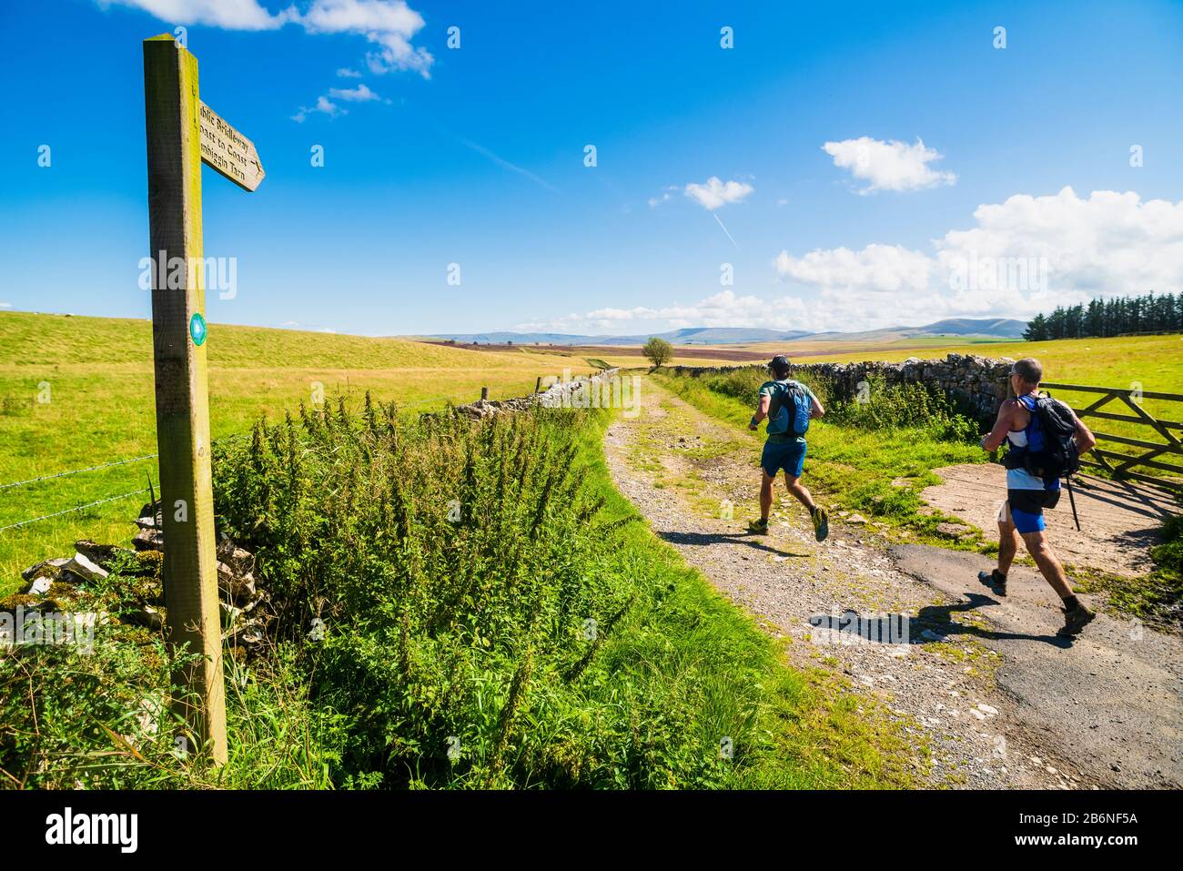 Die Läuferinnen in der Nähe von Sunbiggin in den Yorkshire Dales fielen, wobei Wild Boar am Horizont fiel Stockfoto