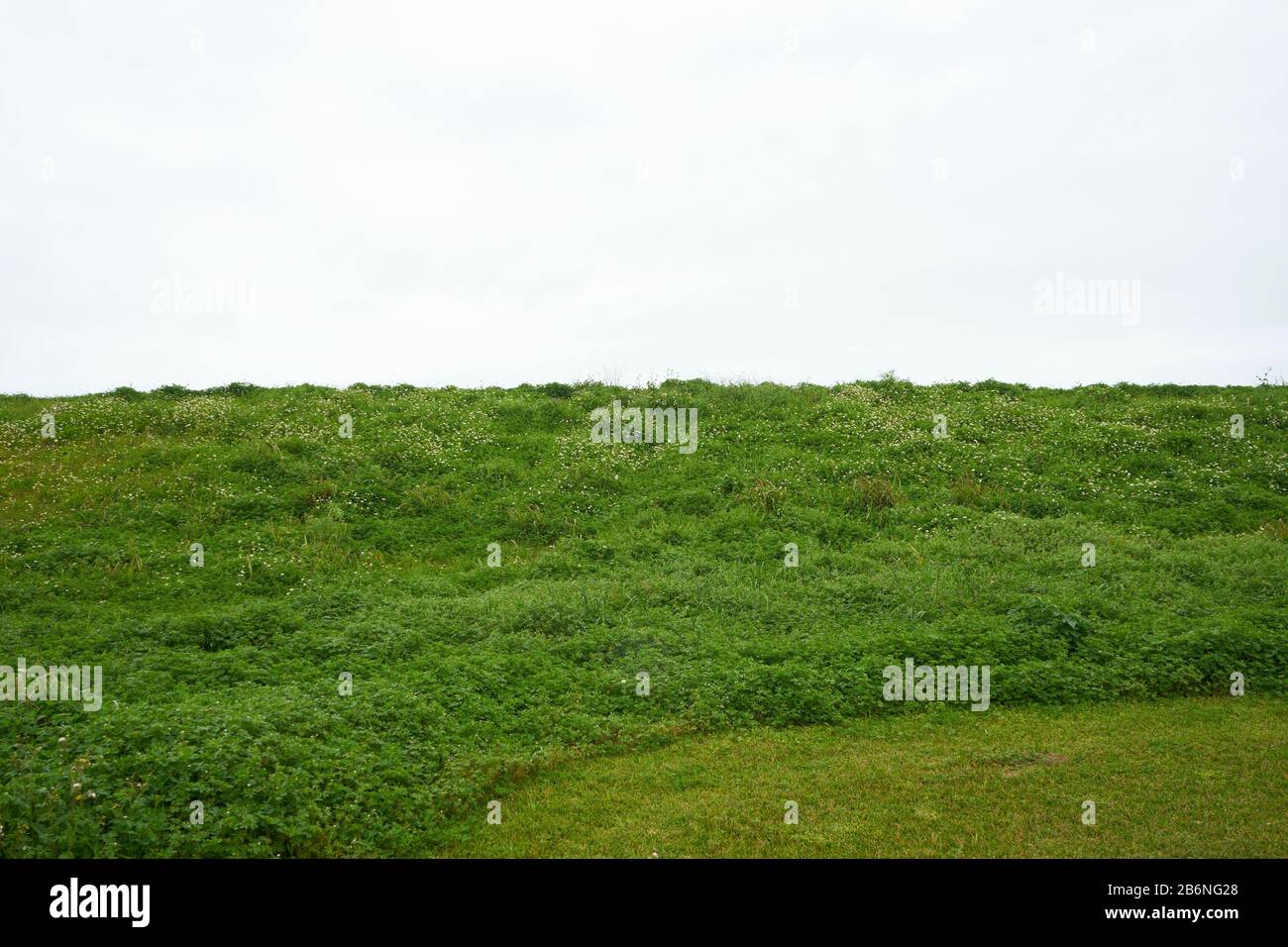 Grüner Hügel oben im Süden Louisianas. Stockfoto