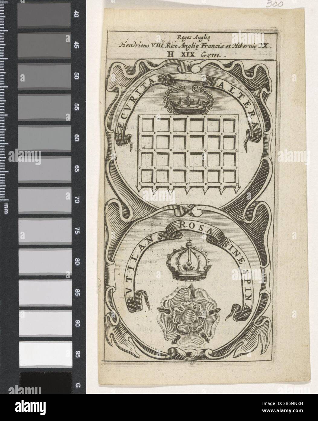 Gekroond valhek Gekroonde roos Securitas Altera Rustilans Rosa Sine Spina (titel op object) Symbola Divina et Humana Pontificum Imperatorum Regum (serietitel) Een embleem met twee voorstellingen. Boven een valhek met een kroon. Daaronder een kroon en een roos. Het bettreffen deviezen van Hendrik VIII van Engeland. Hersteller: Pretmaker: Anoniemnaar prent van: Aegidius Sadeler dating: 1666 Physikalische Kenmerken: Gravur; verso traf tekst in boekdrauk Material: Papier Techniek: Graveren (Drukproceé) / boekdrauk Abmessungen: Plaatrand: H 120 mm × b 63 mmToelichtingina Pagina, Jacob Typus, Sytius Stockfoto