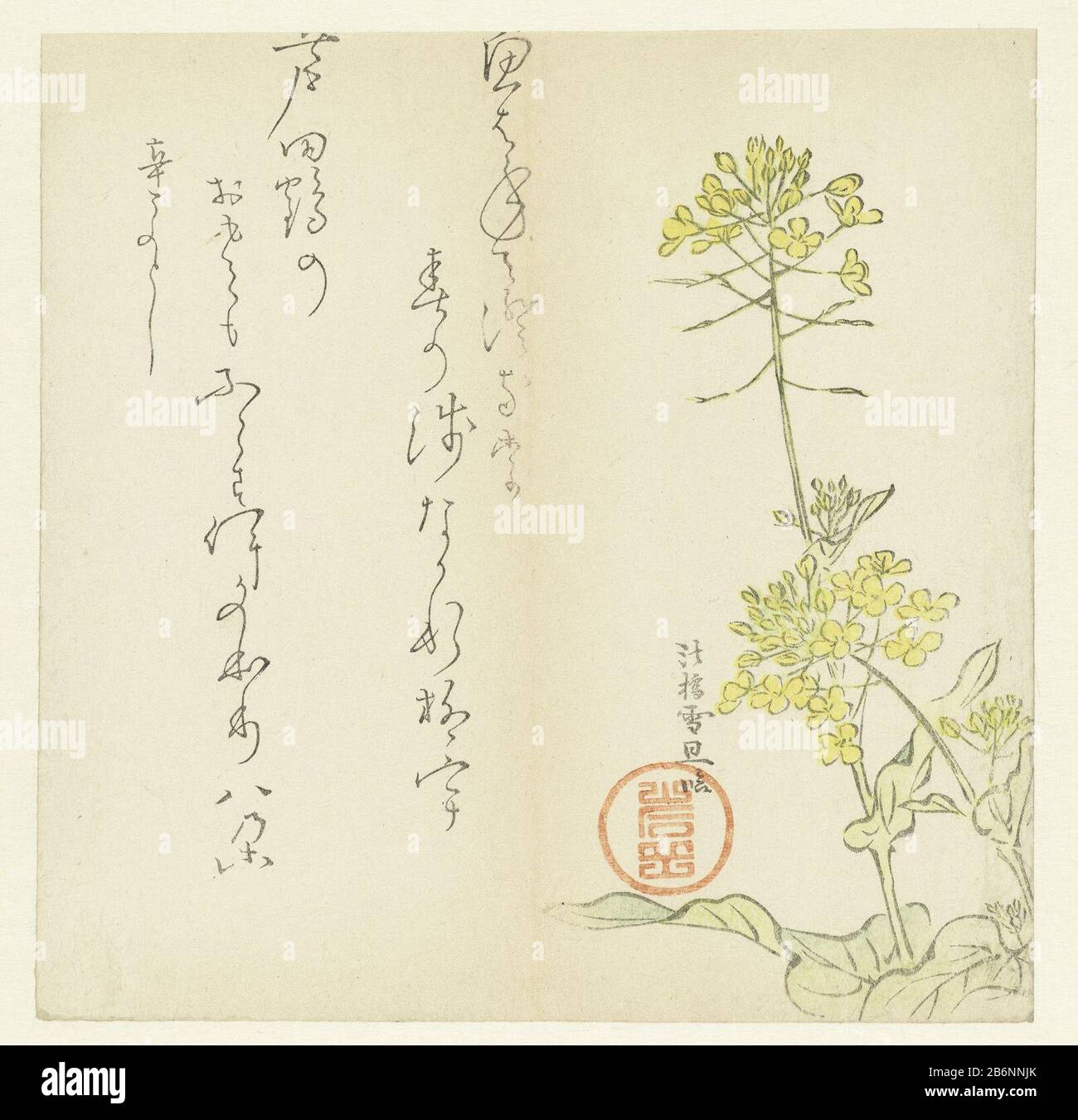 Gele blüht blühende gelbe Blumen. Zwei anonyme Haiku gedichten. Hersteller : Druckmaschine: Hasegawa Settan (Listed Property) Ort Herstellung: Japan Datum: 1831 Physikalische Eigenschaften: Farbholzblock; Strichblock in Schwarz mit Farbblöcken Material: Papiertechnik: Farbholzblock Abmessungen: Blatt: H 186 mm × W 188 mmToelichtingEen surimono ist ein luxuriöser Druck, Bei Dem: Auf dem Bild ist mit einem oder mehreren Gedichten kombiniert. Wenn der Druck eines Surimonos häufig verwendet wurde, besteht er aus dickerem Papier, Prägung und Metallpigmenten wie Kupfer und Silberpulver. Die Drucke wurden oft in Auftrag gegeben B. Stockfoto