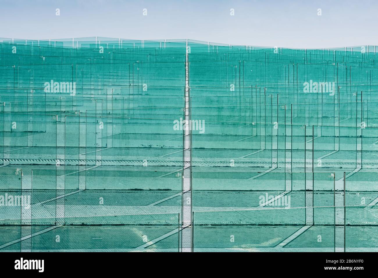 Blätter aus grünem, mildem Klarglas Stockfoto