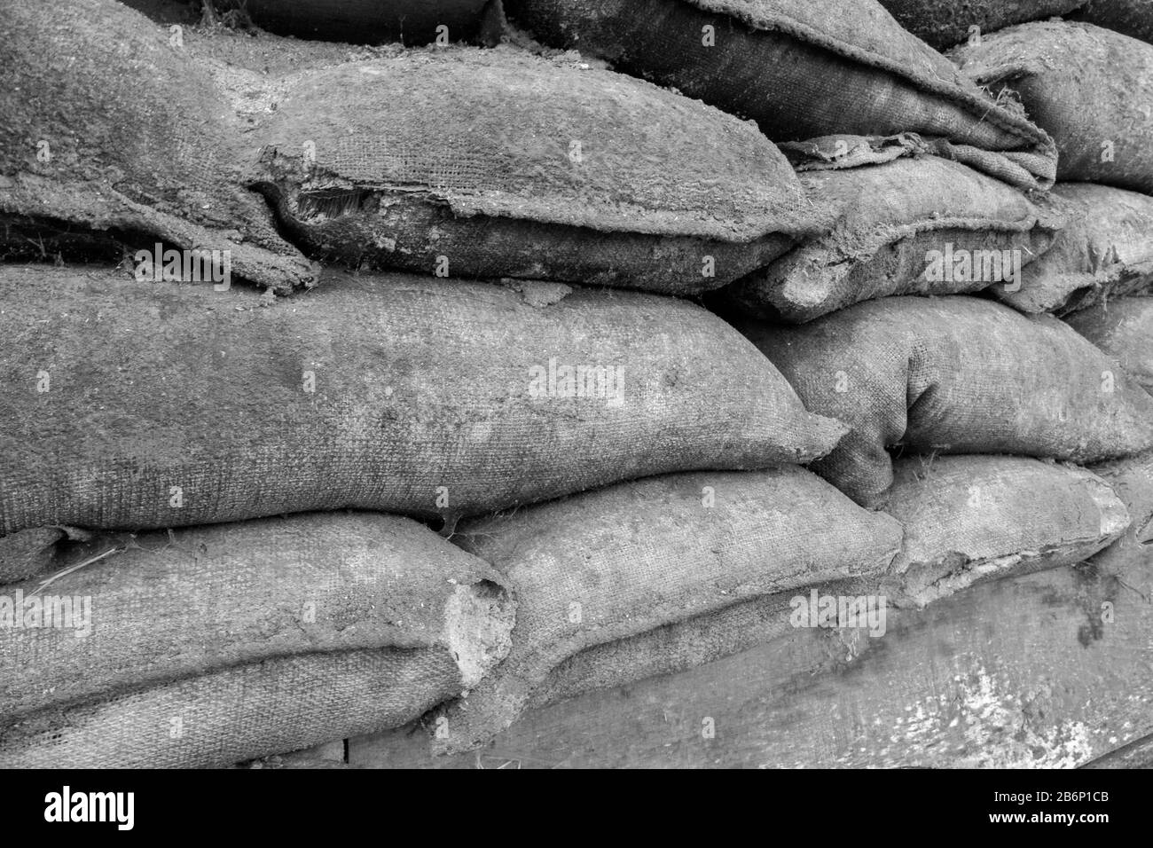 Britische 1. Weltkrieg Gräben bei Hill 62 Sanctuary Wood auf den Ypern auffallende Schlachtfeldern, Belgien. Stockfoto