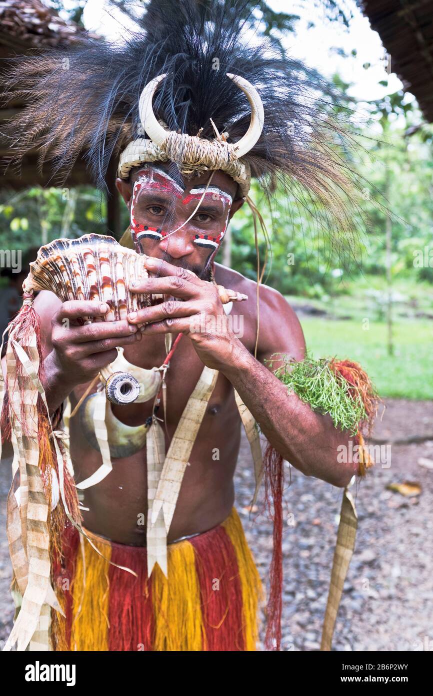 dh Native Warrior man PNG ALOTAU PAPUA NEUGUINEA traditioneller Stammesmann, der in Muschelkultur in Stammesführer Stammeskopfkleid bläst Stockfoto