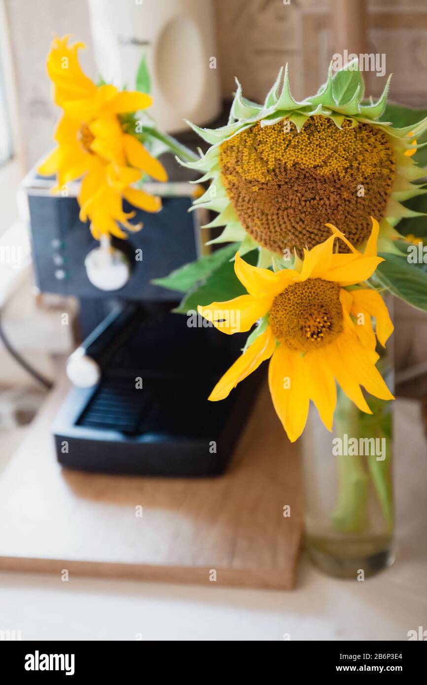 Ein Blumenstrauß mit rustikalen Blumen eine Sonnenblume steht auf einem Tisch in der Nähe der Kaffeemaschine Stockfoto