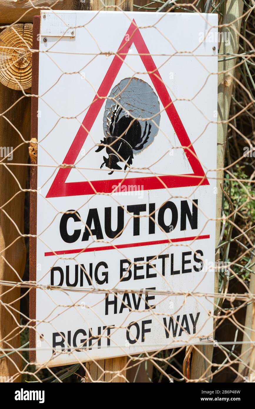 Straßenschild, das Vorsicht rät, da Dung Beetles im Addo Elephant National Park, Eastern Cape, Südafrika, das Recht hat, in die richtige Richtung zu gehen Stockfoto