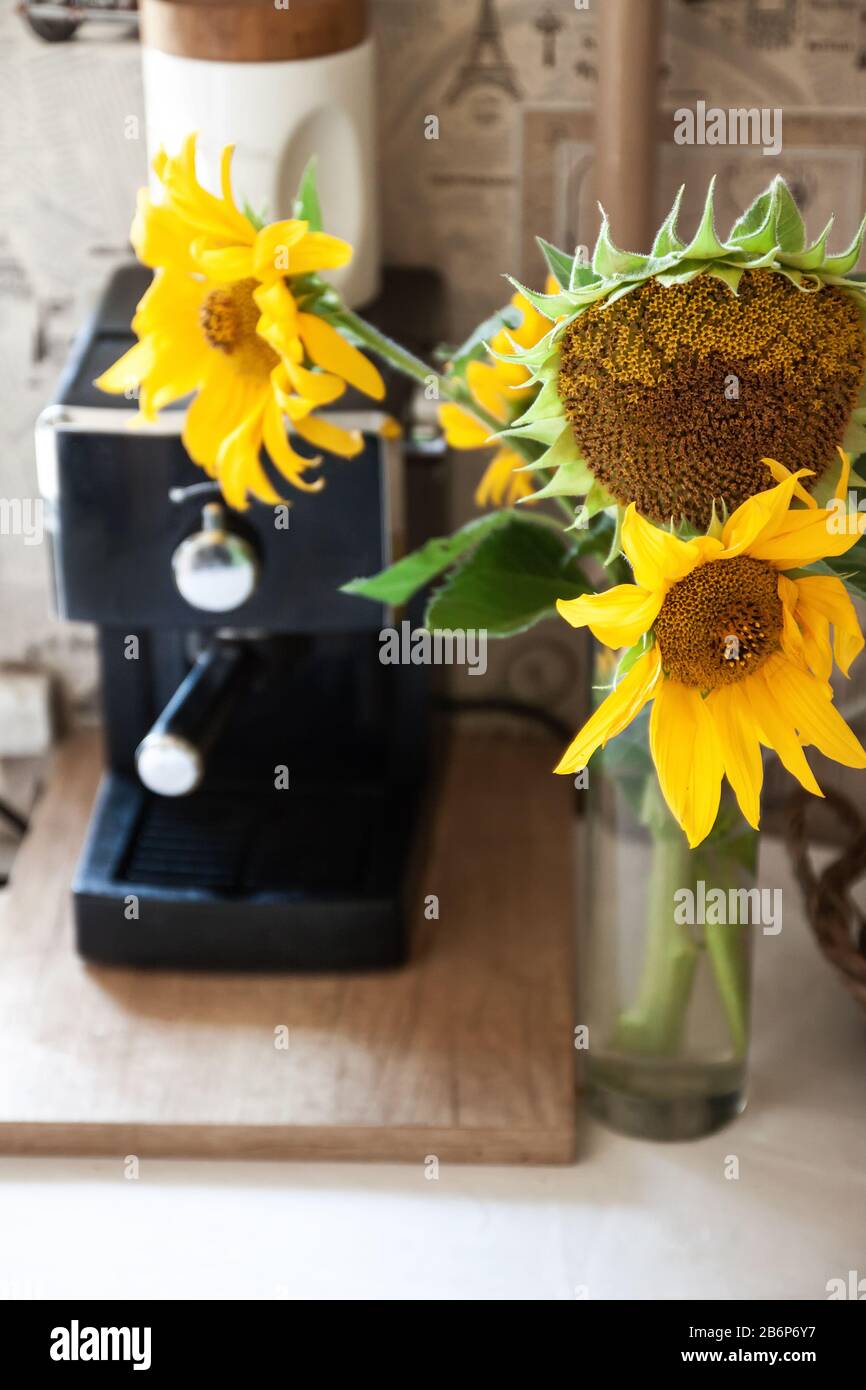 Ein Blumenstrauß mit rustikalen Blumen eine Sonnenblume steht auf einem Tisch in der Nähe der Kaffeemaschine Stockfoto