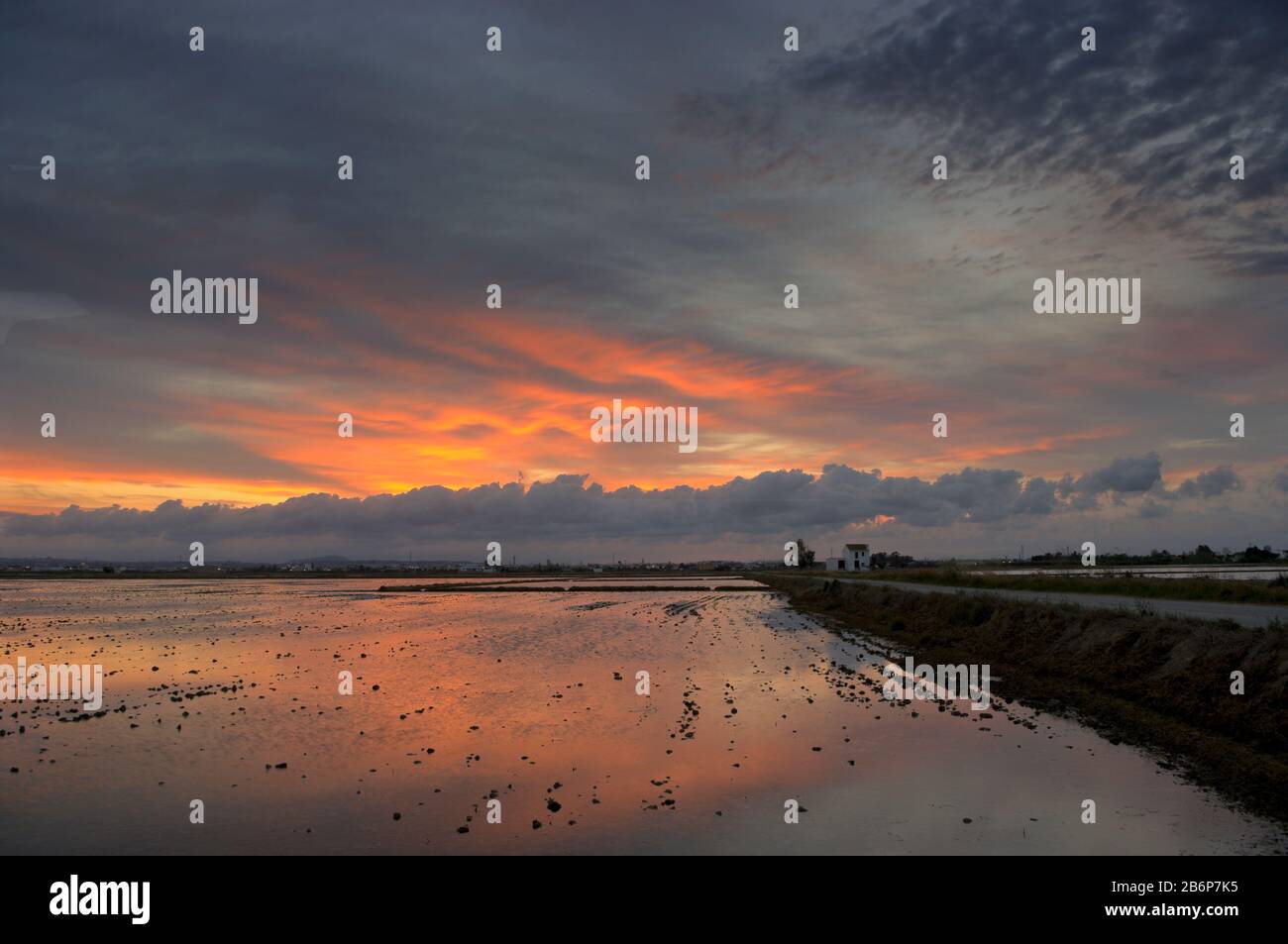 Ein schöner Sonnenuntergang auf den Reisfeldern in der Nähe der Lagune von Valencia Spanien. Stockfoto