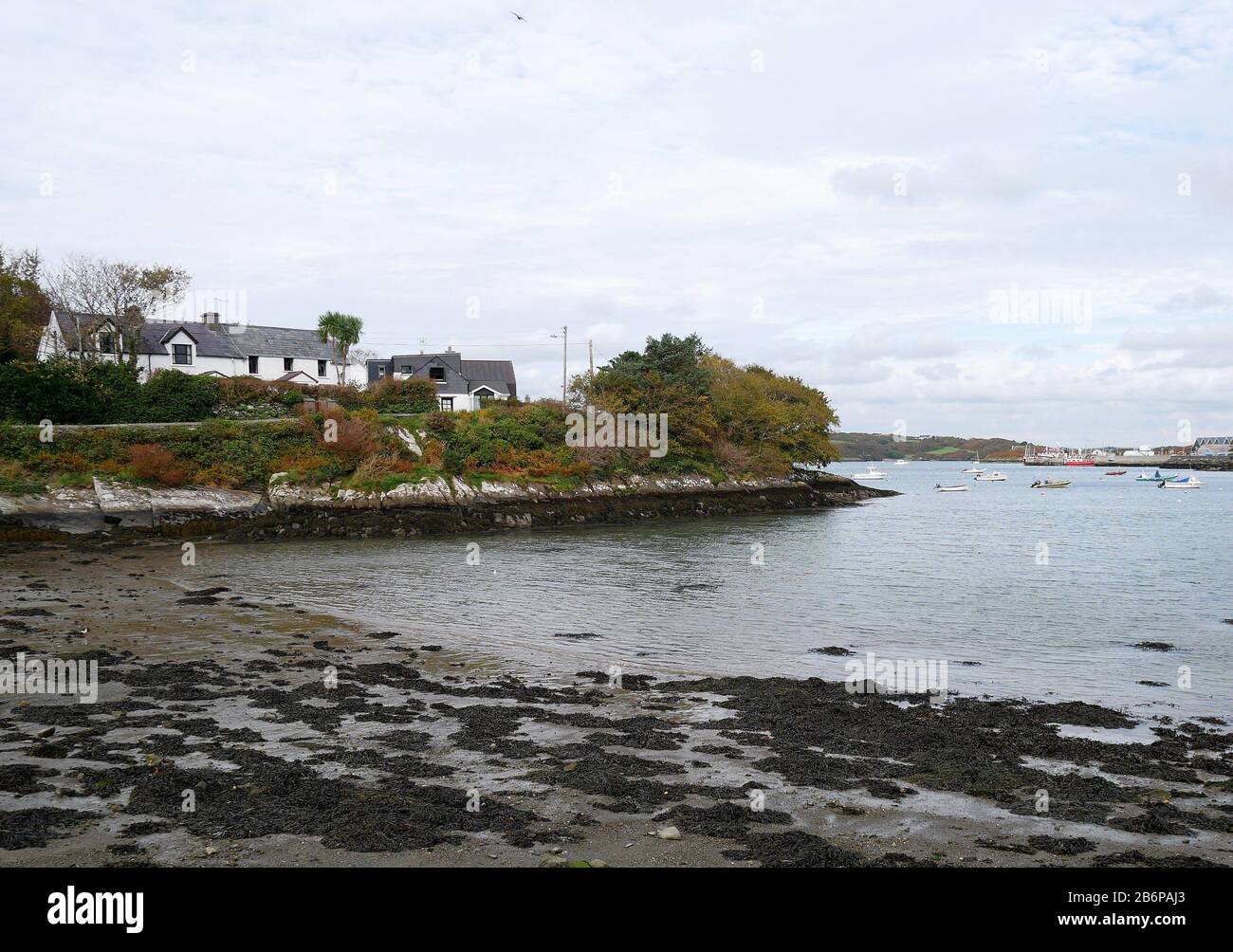 Cottage entlang des Wild Atlantic Way, County Cork, Irland Stockfoto