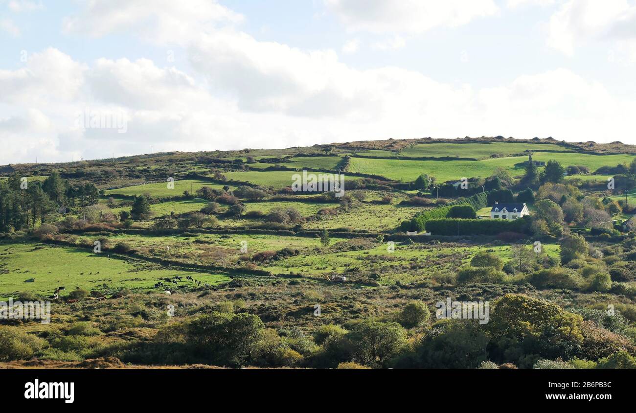 Ländliches County Cork Country, Irland Stockfoto