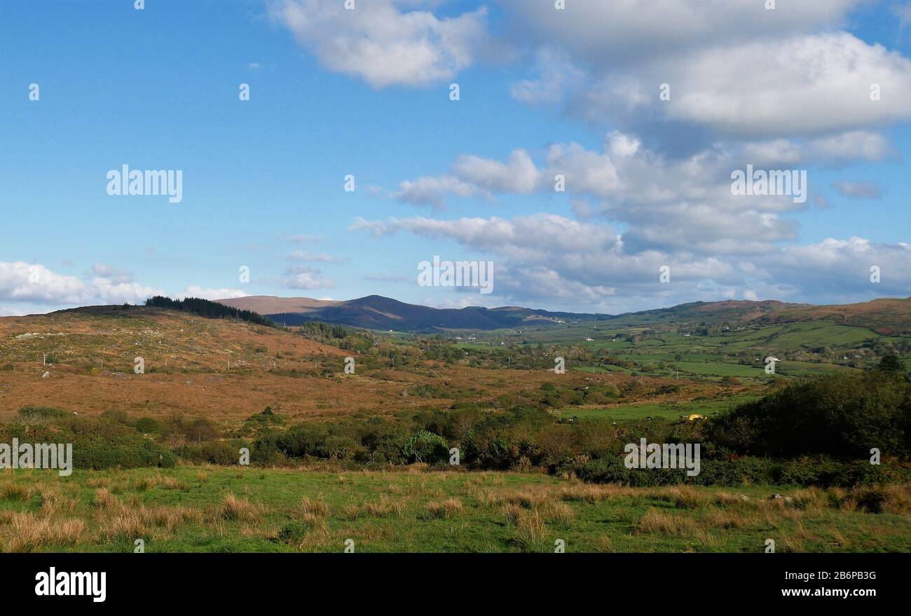Ländliches County Cork Country, Irland Stockfoto