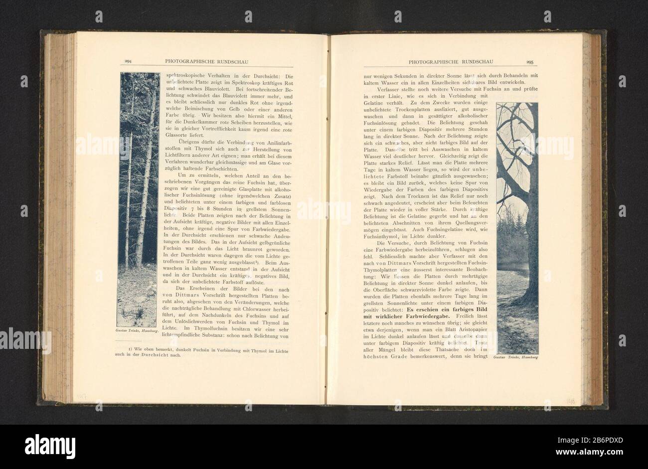 Gezicht op Bomen Ansicht der Bäume Objekttyp: Fotomechanische Druckseite Artikelnummer: RP-F 2001-7-968-1-148 Aufschriften / Marken: Monogramm, Recto, gedruckt: 'MR & C' Hersteller: Fotograf: Gustav Eduard Bernhard Trinks ( Objektliste) Klischeehersteller: Riffarth & Co Meisenbach (möglich) Ort Herstellung: Berlin Datum: C.-1898 Material: Papiertechnik: Autotypie Abmessungen: Druck: H 170 mm × W 28 mmToelichtingPrent Seite 295. Betreff: Baum Stockfoto