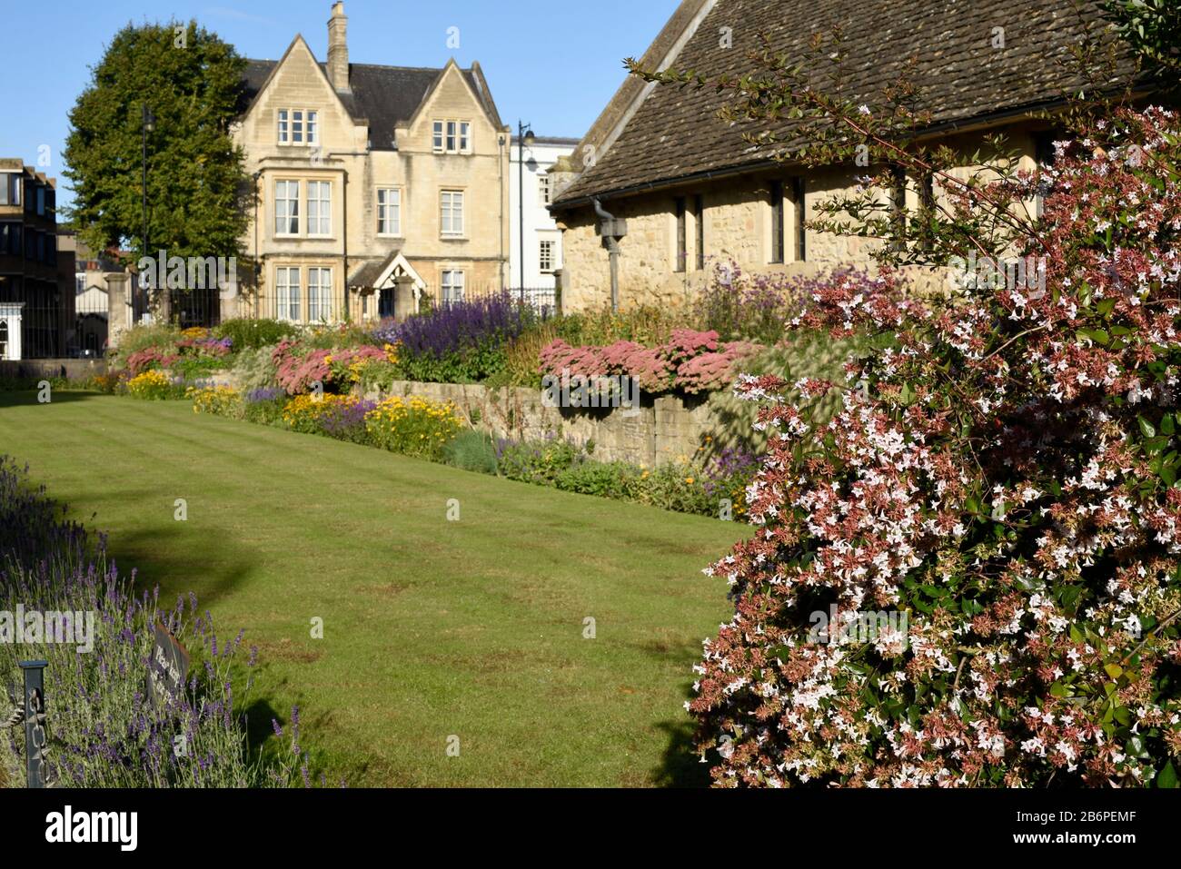 Oxford University Garden, Großbritannien Stockfoto