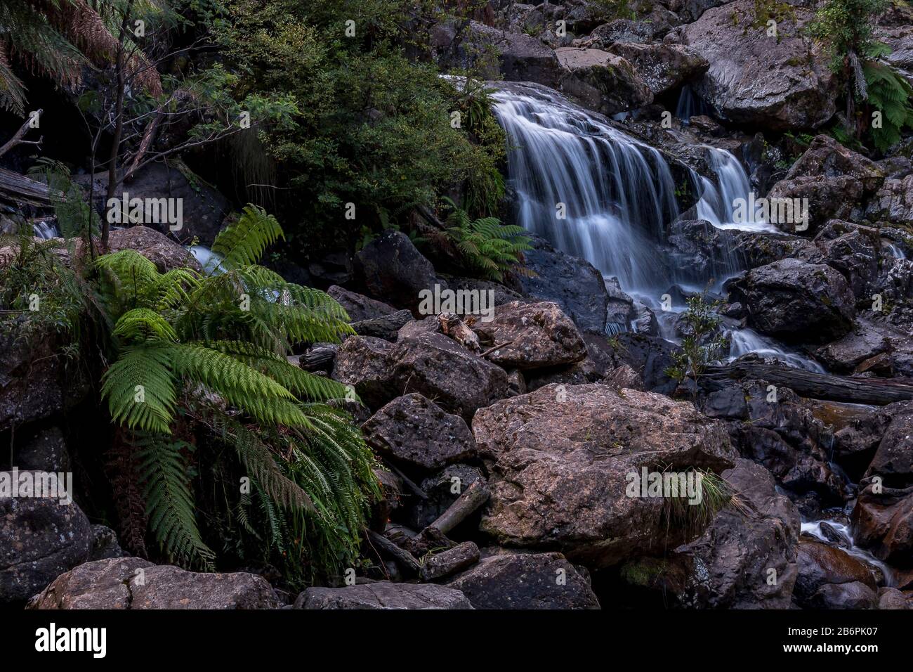 St. Columba Falls, Tasmanien Stockfoto