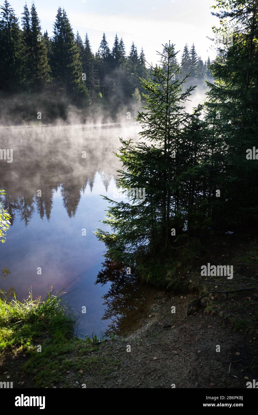 Morgendäse über der Oberfläche des Pohorsky-Teichs kennen Sie als Jiricka-Reservoir in der Nähe von Pohorska Ves, Novohradske Mountains, Cesky Krumlov District, Tschechien Stockfoto