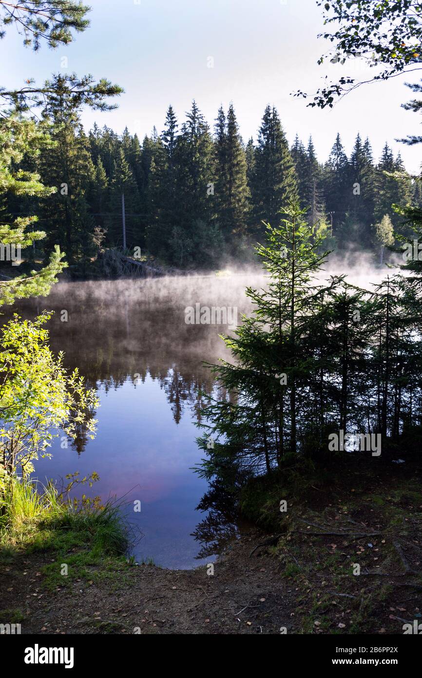 Morgendäse über der Oberfläche des Pohorsky-Teichs kennen Sie als Jiricka-Reservoir in der Nähe von Pohorska Ves, Novohradske Mountains, Cesky Krumlov District, Tschechien Stockfoto