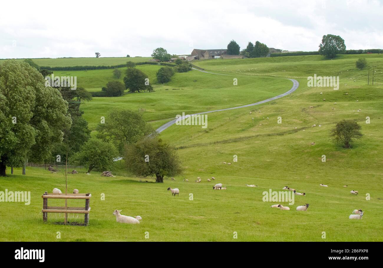 Pastoralszene Cotswolds, England, Vereinigtes Königreich Stockfoto