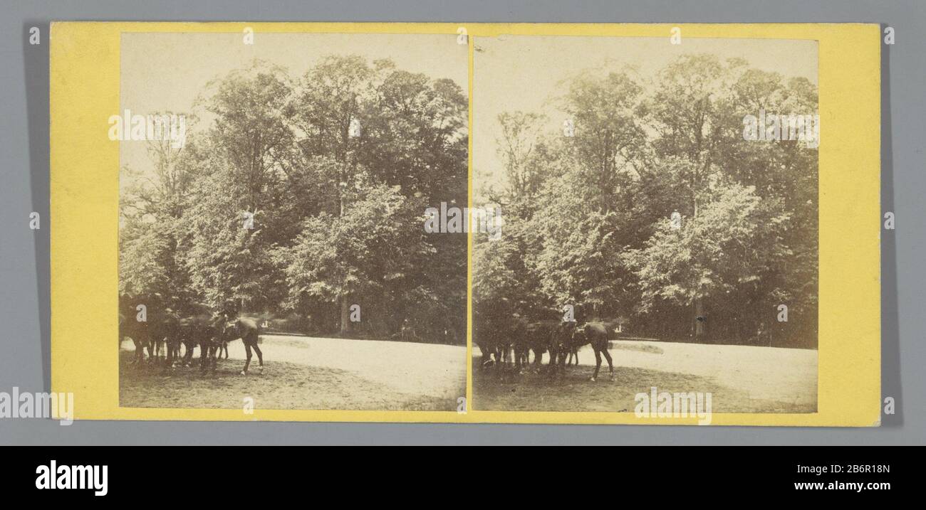 Gezicht op de weg van Haarlem naar Heemstede Blick auf die Straße von Haarlem nach Heemstede Objektart: Stereobild Artikelnummer: RP-F12057 Beschriftung / Marken: Aufschrift verso, Stuck 'STEREOSCOPIC Visions IN NEDERLAND./ Ausgabe von A. HUNTER, Water 110, Amsterdam .'annotie, verso, handschriftlich 'Away from Haarlem to Heemstede / Spanjaardslaan'nummer, verso, handschriftlich' 9' Hersteller: Fotograf: Peter Oosterhuis (möglich) Herausgeber: Andries Jager (Fotograf) Objektverlage: Amsterdam: 1885: 1860 Haarlem Fotopapier, Pappe Tec Stockfoto