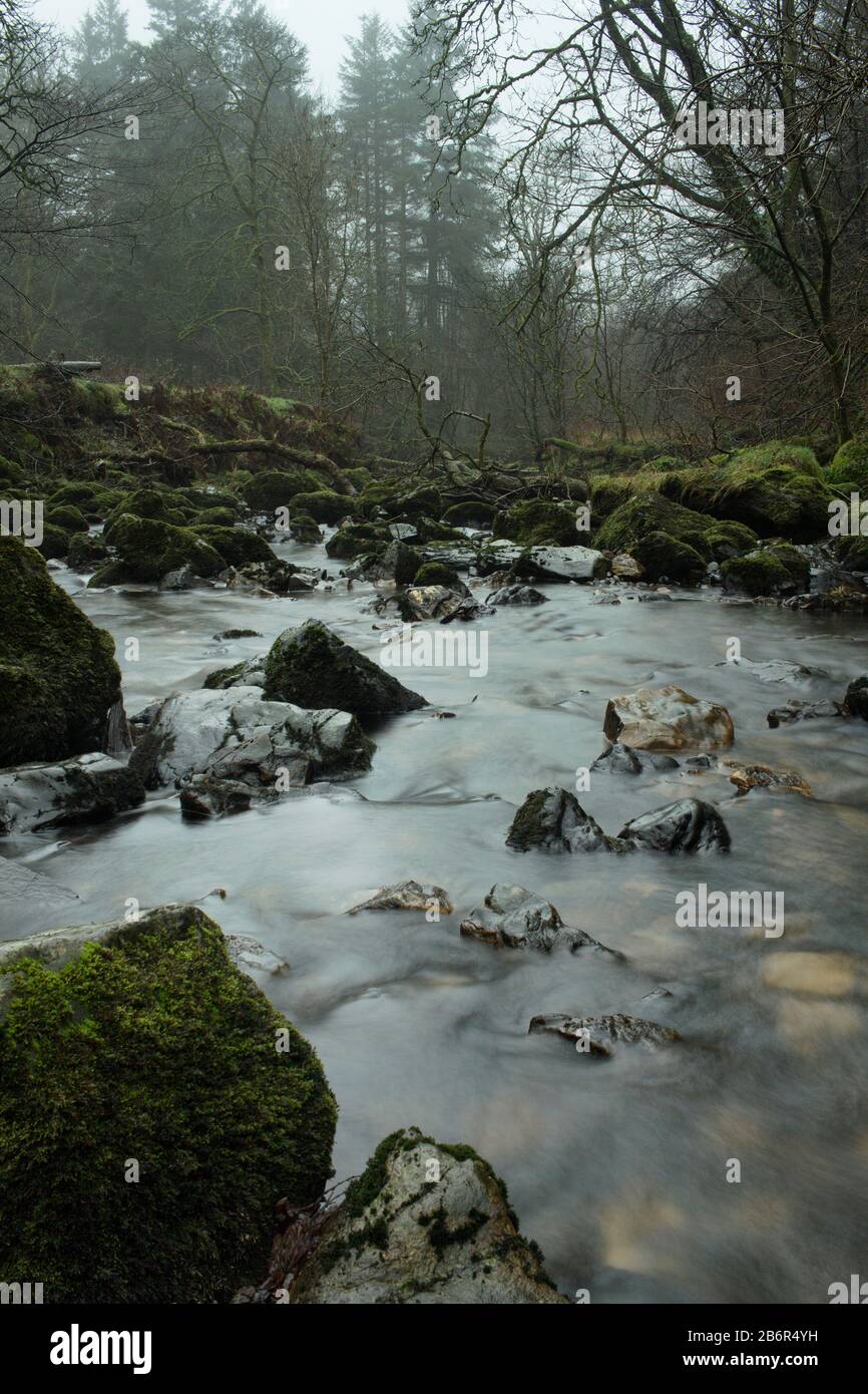 Der Wasserfall A und der Fluss im Morgennebel in der Campsie Glan Schlucht im Westen Schottlands. Stockfoto