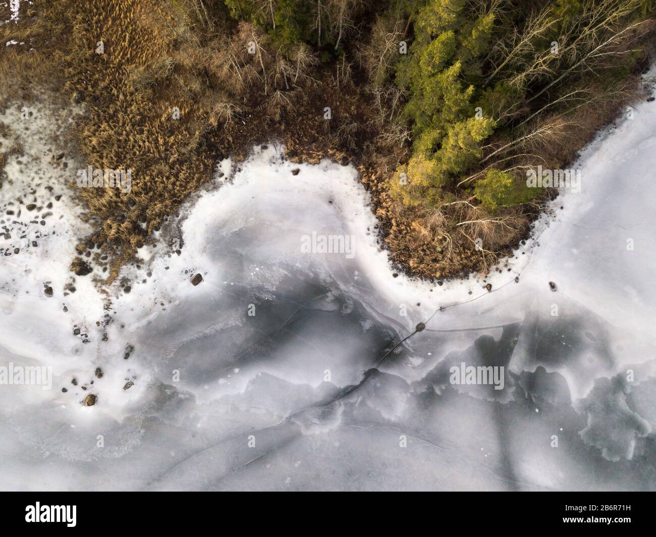 Blick auf die Küstenlinie mit Wald- und Überschwemmungswiese am zugefrorenen See Stockfoto