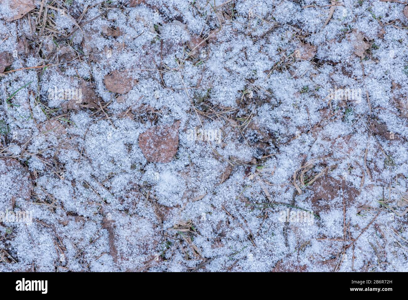 Erster Schnee auf dem Boden. Stockfoto