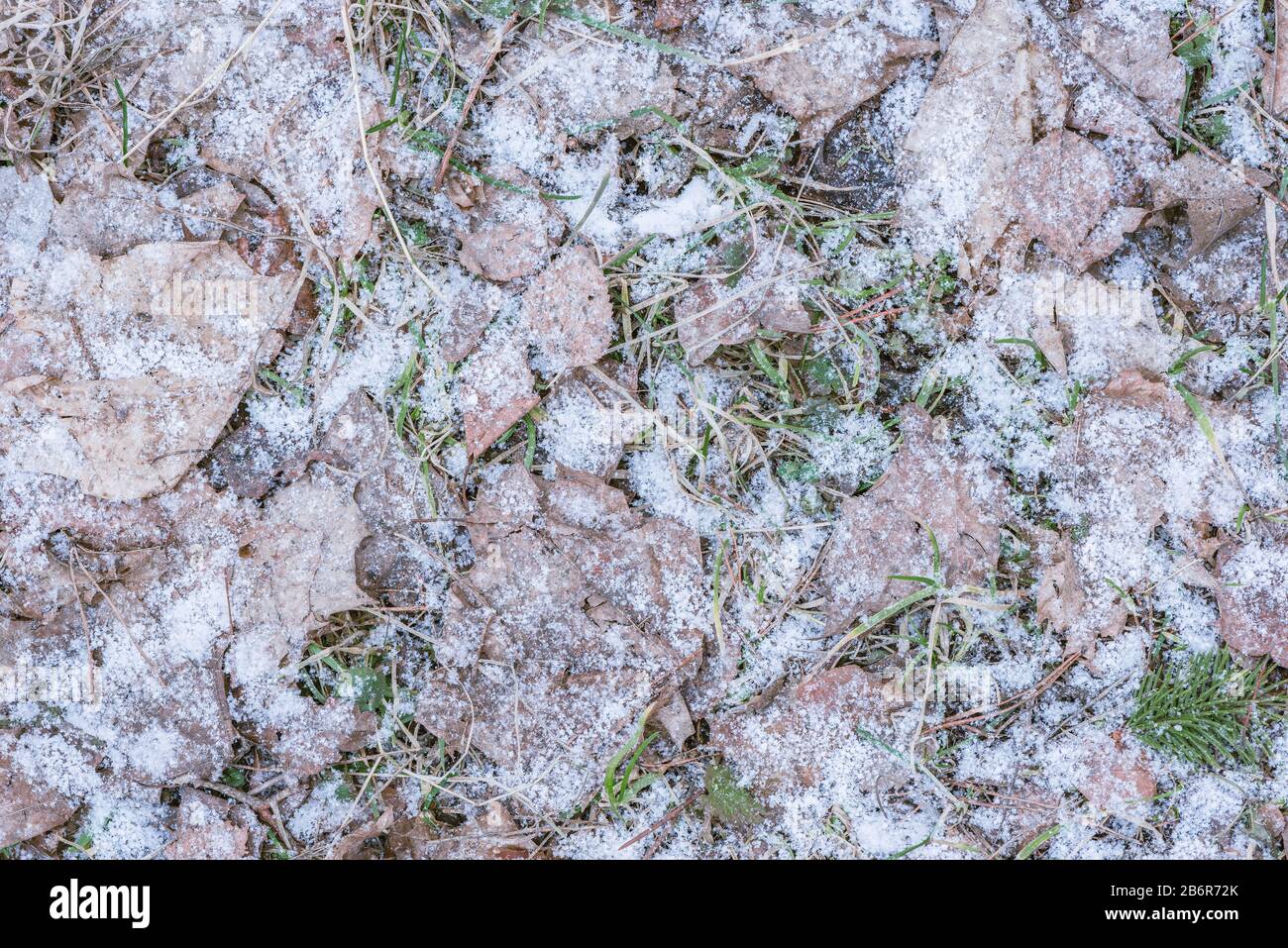 Erster Schnee auf dem Boden. Stockfoto
