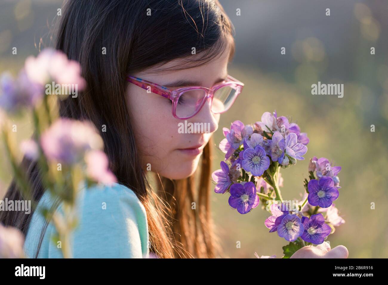 Genießen Sie den Duft der Blumen. Stockfoto